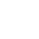 CHSP icon-transparent bg-150px